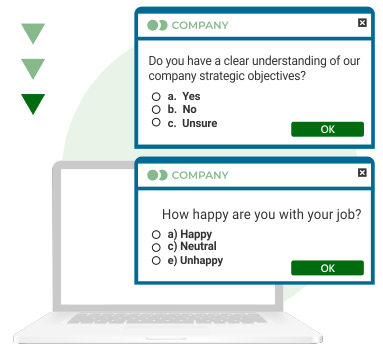 Employee engagement surveys